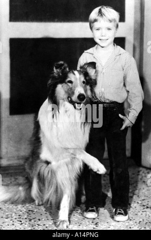 Lassie Année 1954 1974 Jon Provost Banque D'Images