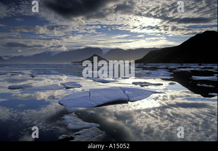 Fjord Alexandra l'île Ellesmere, Canada Banque D'Images