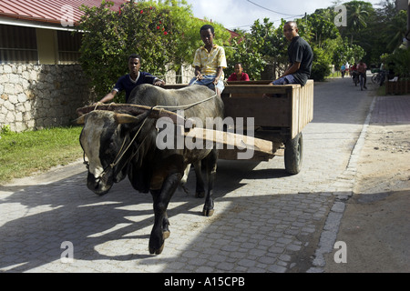 Les populations locales à cheval sur un taxi boeufs panier Praslin Seychelles Banque D'Images