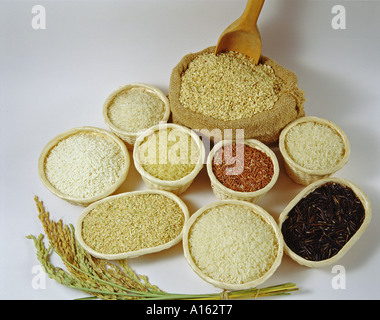 Riz nature morte Banque D'Images