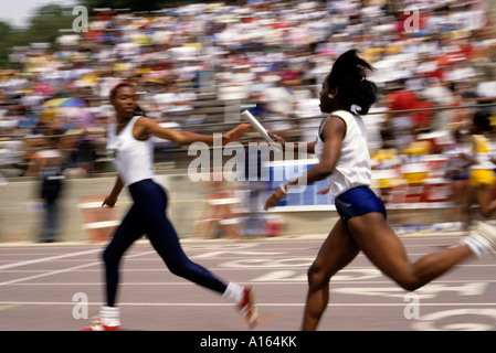 Stock numérique image des femmes les athlètes en athlétisme Banque D'Images