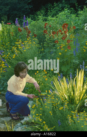 Femme, le milieu de 30 ans en jeans et chemise, travaillant dans un beau jardin fleuri et les fleurs des plantes de fraisage un soir d'été, Missouri, États-Unis Banque D'Images