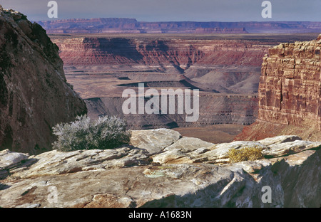 Rivière San Juan de cygne vu de Muley Point oublier, Glen Canyon Nat Rec Area, Utah, USA Banque D'Images