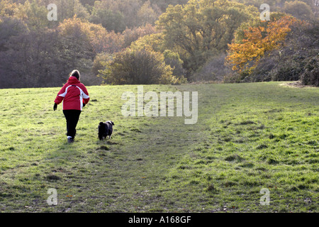 Femme promener son chien le long d'un chemin à l'automne Banque D'Images