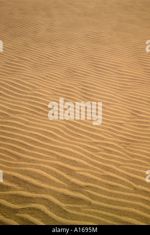Les patrons de sable, Koonangkuppam Ponneri Village, Cercle, l'Inde, l'Asie Banque D'Images