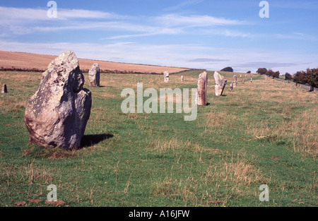 Lignes de menhirs (ch. 2200 BC) sur l'Avenue Pierre menant à Avebury, Angleterre Banque D'Images