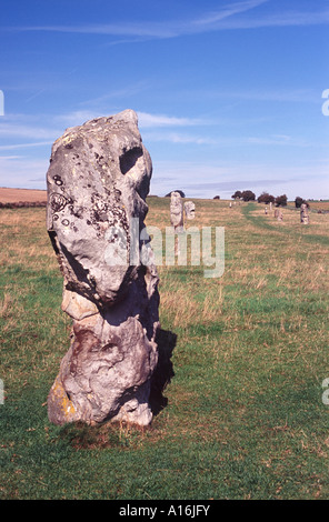 Standing Stone (c 2200 BC) sur l'Avenue Pierre qui relie le sanctuaire avec le village préhistorique d'Avebury, Angleterre Banque D'Images