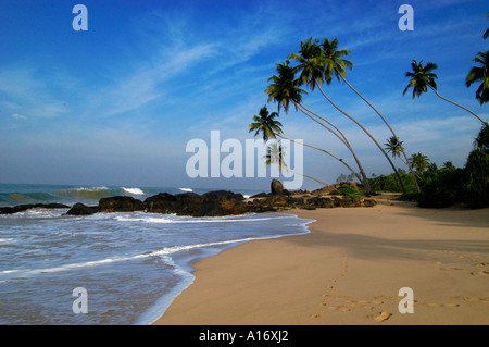 Sri Lanka Tangalla Beach palm arbre bleu sable mer Banque D'Images