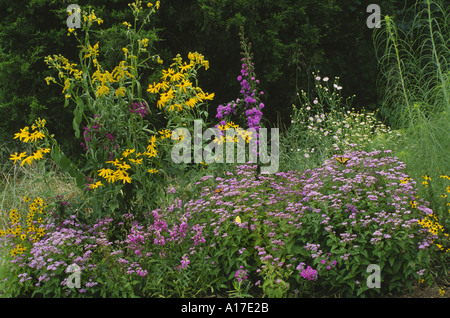 Jardin en fleurs colorées avec Monarch et swallottail entre les papillons dans le jardin de fleurs sauvages, Missouri, États-Unis Banque D'Images