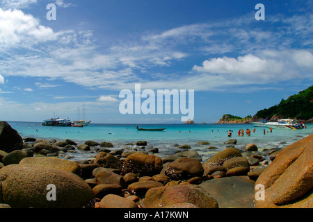 Un palmier se penche sur une plage parfaite à Koh Tao, tranquille, calme, tropical, paradis, pristine, tropical, le ciel, Banque D'Images