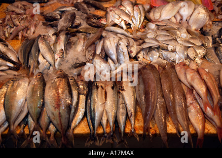 Marché Central, Shunde, Foshan, Guangdong, Chine. Banque D'Images