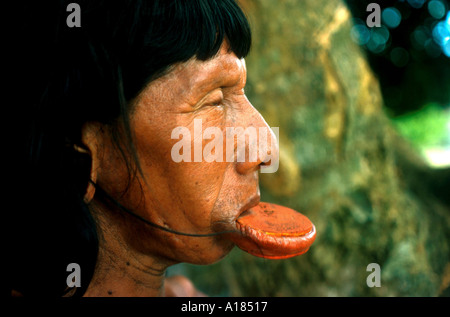 Tribesman Suya Xingu Brésil C Leimbach Banque D'Images
