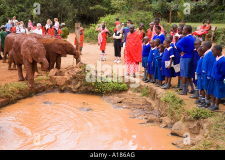 Bébé orphelin 'éléphants africains' à la 'David Sheldrick Wildlife Trust' sanctuary à Nairobi avec les écoliers du Kenya Masai Banque D'Images