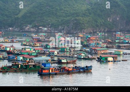 2007 péniche ville flottante dans la Communauté hors du port de la ville de Cat Ba Baie de Halong Vietnam Banque D'Images