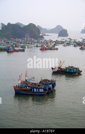 2007 péniche ville flottante dans la Communauté hors du port de la ville de Cat Ba Baie de Halong Vietnam Banque D'Images