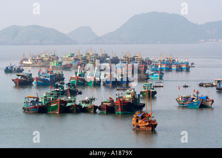 2007 bateaux de pêche au large de port dans la ville de Cat Ba Baie de Halong Vietnam Banque D'Images