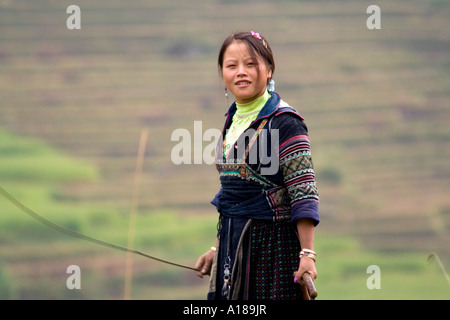 2007 Fille Hmong en vêtements traditionnels paît le bétail Sapa Vietnam Banque D'Images