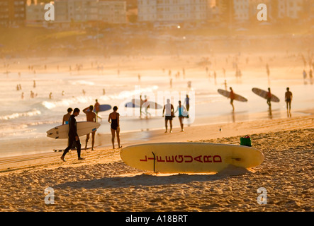 Un parfait après-midi d'été à Bondi Beach, Sydney, Australie. Les surfeurs et les amateurs de plage Profitez de l'après-midi d'or lumière. Banque D'Images