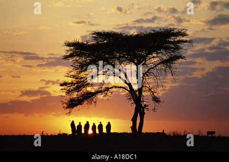 Groupe d'hommes masaï du Kenya, au lever du soleil Banque D'Images