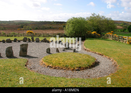 L'Irlande du nord du comté de Fermanagh, Drumskinney Stone Circle Banque D'Images