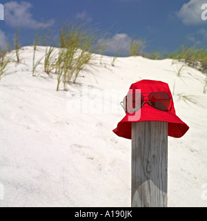 Le red hat avec des lunettes de soleil sur le poteau en face de dunes de sable et ciel bleu Banque D'Images