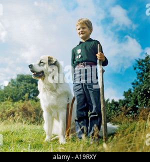 Jeune garçon s'arrêter quand marcher son jeune chien de Montagne des Pyrénées animaux dans la campagne anglaise England UK EUp Banque D'Images