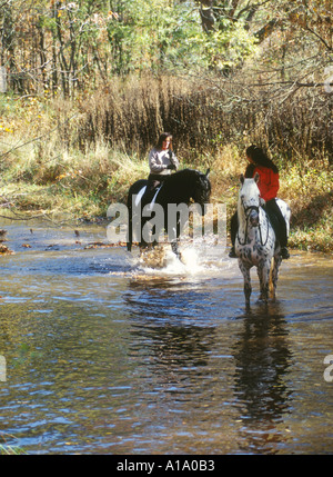 La randonnée équestre dans les cours d'eau boisé Banque D'Images