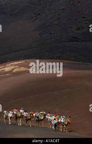 En chameau dans le Parc National de Timanfaya Lanzarote Canaries Banque D'Images