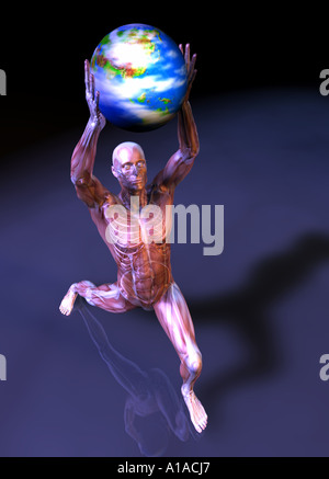 Illustration anatomique de la musculature de l'homme tenant la terre dans une position prominant Banque D'Images