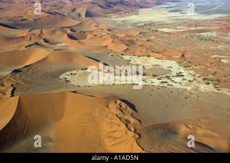 Voler sur les dunes. Le désert de Namib, Sossusvlei, Namibie, Afrique du Sud Banque D'Images