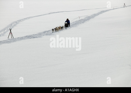 USA Alaska Anvik Musher et chiens de traineaux du bas du fleuve Yukon couvertes de neige au cours de l'année 2005 Iditarod Sled Dog Race sur journée d'hiver Banque D'Images