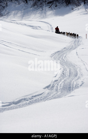 USA Alaska Anvik Musher et chiens de traineaux du bas vers le marécage couvert de neige Rivière Yukon Banque D'Images