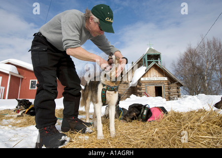 USA Alaska Anvik Musher Jeff King rss comprimé au chien à checkpoint le long de la rivière Yukon en 2005 Iditarod Sled Dog Race Banque D'Images