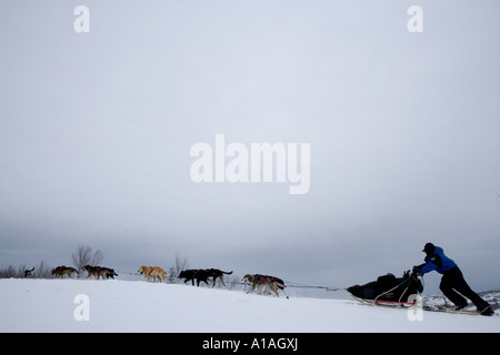 USA Alaska Musher à Unalakleet et de chien de course d'équipe à travers les collines près de la côte de la mer de Béring Banque D'Images