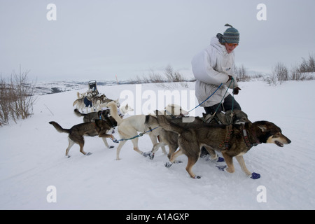 USA Alaska Musher à Unalakleet Melanie Gould mène l'équipe de chien le long sentier en approchant des côtes de la mer de Béring hills Banque D'Images