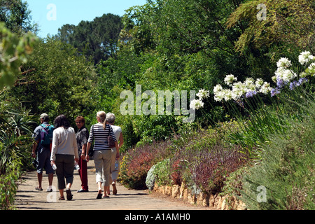 Kirstenbosch National Botanical Gardens sur le côté de Table Mountain Cape Town Afrique du Sud RSA Banque D'Images