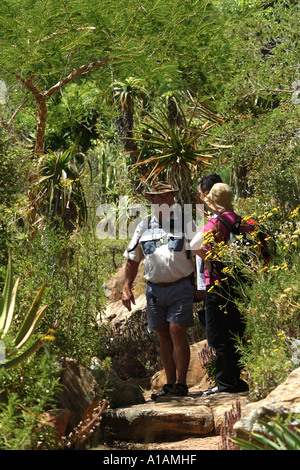 Kirstenbosch National Botanical Gardens sur le côté de Table Mountain Cape Town Afrique du Sud RSA visite guidée Banque D'Images