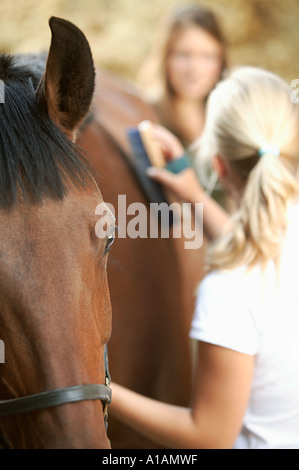 Deux jeunes femmes se toiletter un cheval Banque D'Images