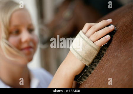 Young woman grooming horse Banque D'Images