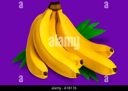 Régime de bananes sur purple Banque D'Images