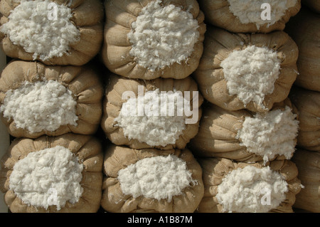 Pile de sacs de jute remplis de fruits de coton brut récolté dans la région de Khan el-Khalili, un grand souk dans le centre historique du Caire islamique Égypte Banque D'Images