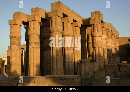 Piliers faite en forme de fleur de lotus fermé à la salle hypostyle à partir de l'enceinte d'Amon-Rê, le Temple de Karnak à Louxor Égypte près de complexes Banque D'Images