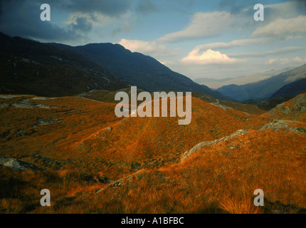 Collines et Glen dans des couleurs d'automne dans la région de Glen Quioch Invernesshire ouest nord de l'Ecosse UK Banque D'Images