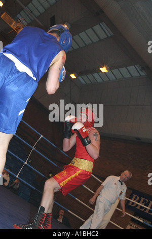 Amateur Boxing Association irlandaise d'action nation multi cup belfast irlande du nord centre de loisirs andersonstown Banque D'Images