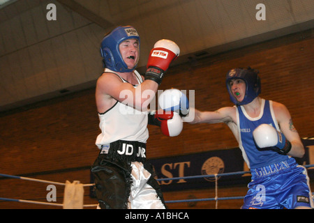 Amateur Boxing Association irlandaise d'action nation multi cup belfast irlande du nord centre de loisirs andersonstown Banque D'Images