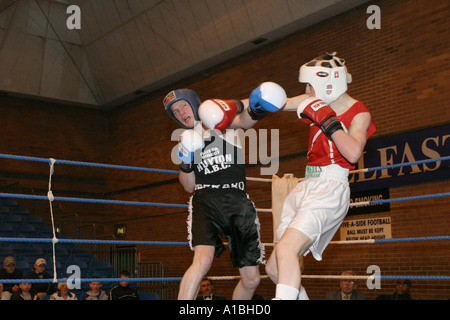 Amateur Boxing Association irlandaise d'action nation multi cup belfast irlande du nord centre de loisirs andersonstown Banque D'Images