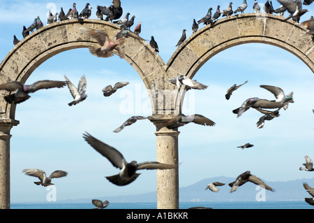 Un énorme troupeau de pigeons voler autour de Los Arcos à Puerto Vallarta Mexique Banque D'Images