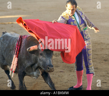 Un matador effectue sa mort défiant la danse à une corrida à Puerto Vallarta Mexique Banque D'Images