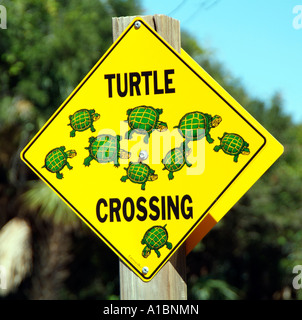 Turtle crossing. Un signe sur la route. Floride USA. Lighthouse Point Park. Pont Inlet. Banque D'Images