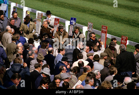 BRIGHTON SUSSEX ENGLAND 1986 COURSES DE CHEVAUX PARI FOULES 2007 Banque D'Images